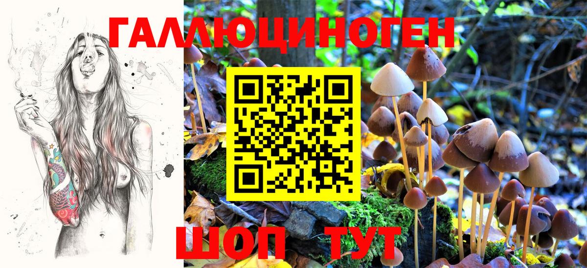 Костомукша  Галлюциногенные грибы GOLDEN TEACHER  Галлюциногенные грибы Psilocybe  Вход с VPN 
