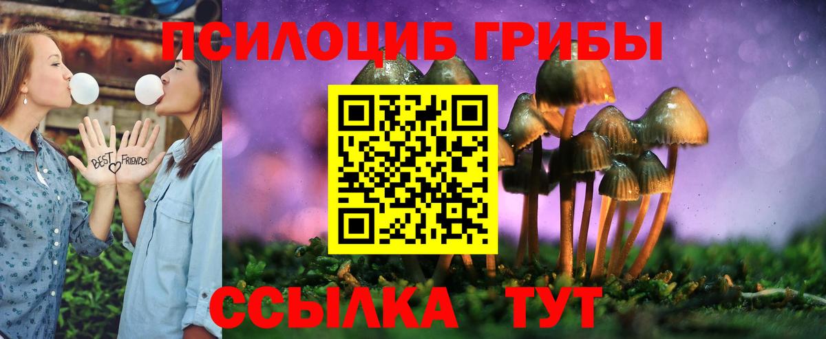 Псилоцибиновые грибы Psilocybe Костомукша