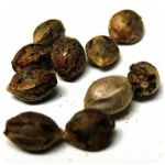 Семена марихуаны АК-47  (Seeds AK-47) в Костомукше
